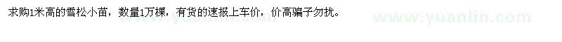 求購1米高的雪松小苗