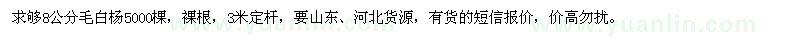 求購8公分毛白楊