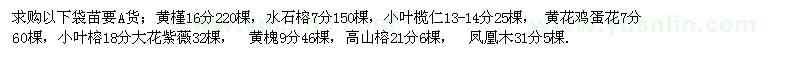 求購大量袋苗：黃槿16分220棵，水石榕7分150棵等