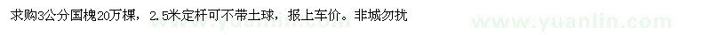 求購3公分國(guó)槐20萬棵