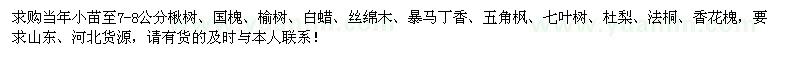 求購(gòu)楸樹(shù)、國(guó)槐、榆樹(shù)、白蠟、絲綿木、暴馬丁香等苗木