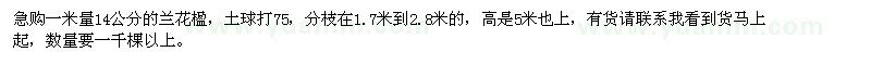 求購(gòu)一米量14公分的蘭花楹1千棵