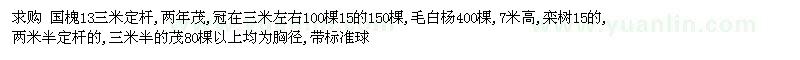 求購國槐,毛白楊,欒樹