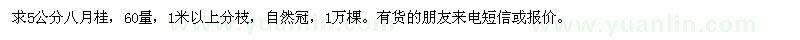 求購(gòu)5公分八月桂，60量，1米以上分枝