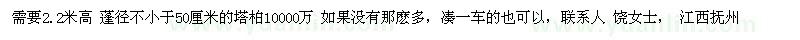 求購需要2.2米高 蓬徑不小于50厘米的塔柏10000萬