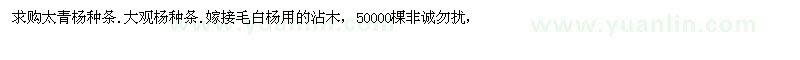 求購太青楊種條.大觀楊種條