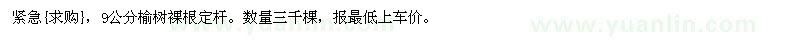 求購9公分榆樹裸根定桿