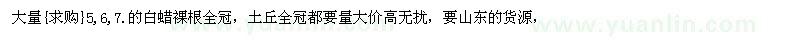求購5,6,7.的白蠟裸根全冠