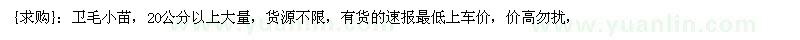求購衛(wèi)毛小苗，20公分以上大量