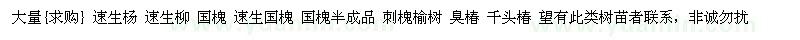 求購速生楊 速生柳 國槐 速生國槐