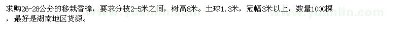 求購(gòu)26-28公分的移栽香樟