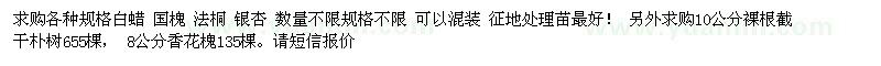 求購白蠟  國槐 法桐 銀杏