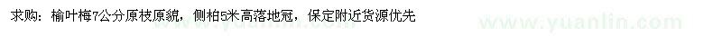 求購榆葉梅7公分原枝原貌、側(cè)柏
