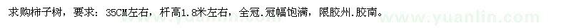 求購柿子樹