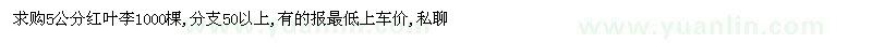 求購5公分紅葉李1000棵