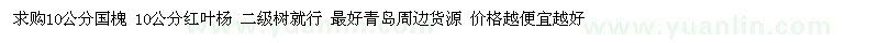 求購10公分國槐