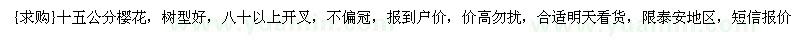 求購十五公分櫻花，樹型好，八十以上開叉