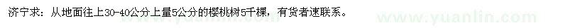 求購5公分的櫻桃樹5千棵
