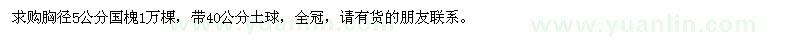 求購(gòu)胸徑5公分國(guó)槐1萬(wàn)棵