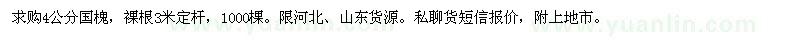 求購4公分國槐