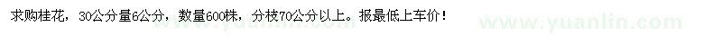 求購6公分桂花