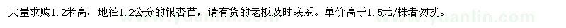 求購1.2米高銀杏