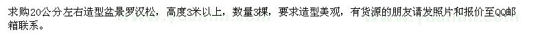 求購20公分造型盆景羅漢松3棵