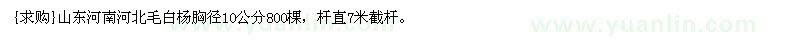求購山東河南河北毛白楊胸徑10公分800棵
