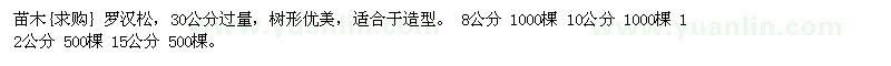 求購羅漢松，30公分過量