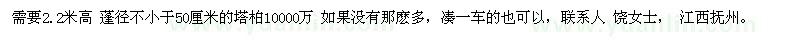 求購需要2.2米高 蓬徑不小于50厘米的塔柏10000萬