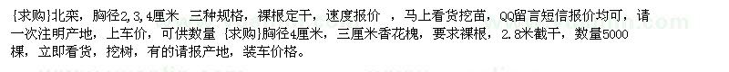 求購北欒，胸徑2,3,4厘米 胸徑4厘米三厘米香花槐