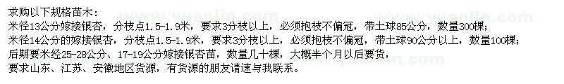 求購米徑13、14公分嫁接銀杏400棵