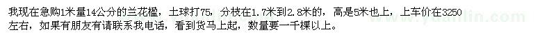求購1米量14公分的蘭花楹 