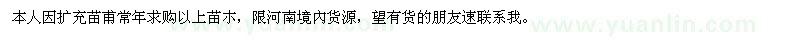 求購常年10-30的大葉女貞，法桐，國槐，白蠟，紅葉李等