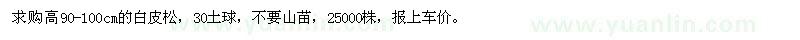 求購高90-100cm的白皮松