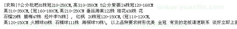求購枇杷 紫薇 垂絲海棠 花石榴 臘梅 紅楓 海桐球等