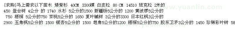 求購(gòu)馬上需求以下苗木：矮紫杉 白皮松 班克松 登臺(tái)樹 水杉 新疆楊  黃