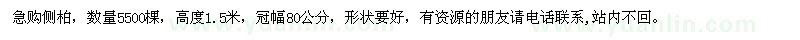 求購側(cè)柏