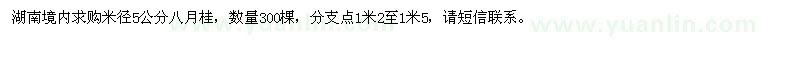 求購米徑5公分八月桂