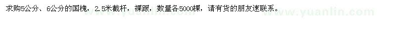 求購5公分、6公分的國槐