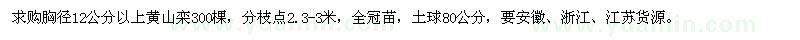 求購胸徑12公分以上黃山欒樹