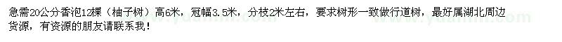 求購20公分香泡