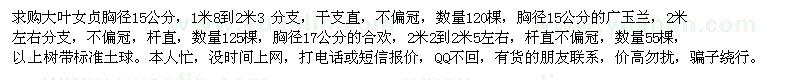 求購大葉女貞胸徑15公分