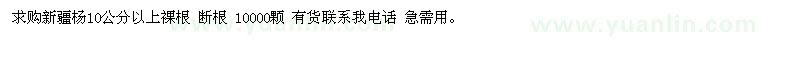 求購(gòu)新疆楊 