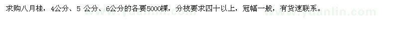 求購八月桂，4公分、5公分、6公分