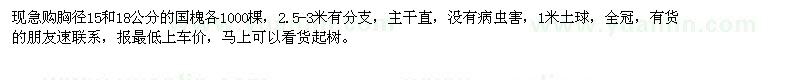 求購國槐 