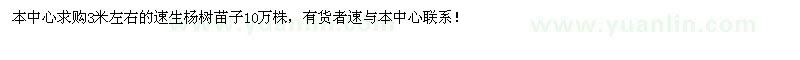 求購3米左右速生楊樹苗10萬棵