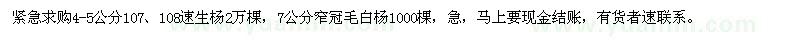 求購107,108速生楊,毛白楊