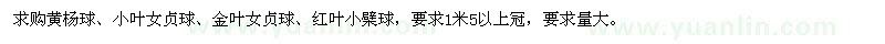 求購黃楊球,小葉女貞球,金葉女貞球,紅葉小檗球