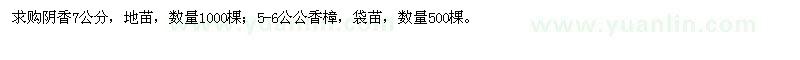 求購7公分陰香，5-6公分香樟